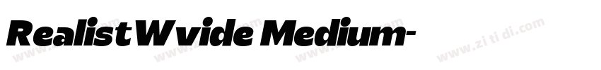 RealistWvide Medium字体转换